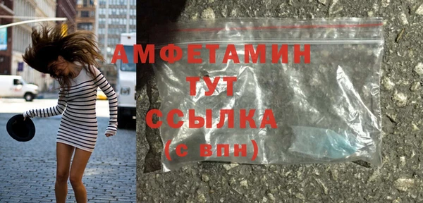 мет Алексин